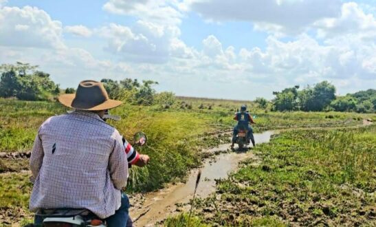 llegar con vías a familias2