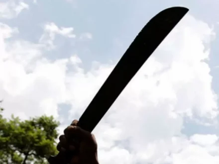 machete_1_0.png