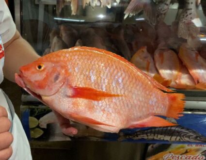 Que el pescado no le afecte en Semana Santa (2)