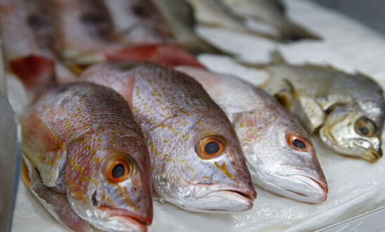 pescado_foto_lanacioncom-780x470