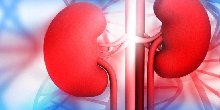 red-and-blue-kidneys