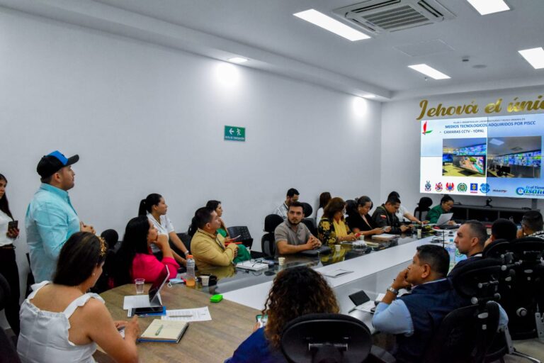 Consejo Seccional de Estupefacientes Casanare