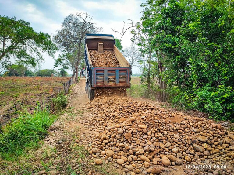 Más y mejores vías en el campo (5)