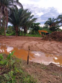 Minga comunal rehabilitó dique de 2 km en Elvecia