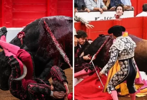 torero.jpg