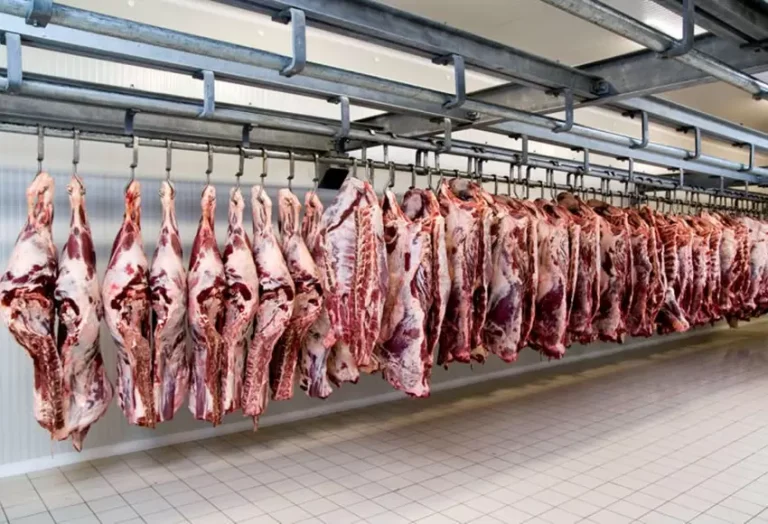 carne_matadero_4.jpg