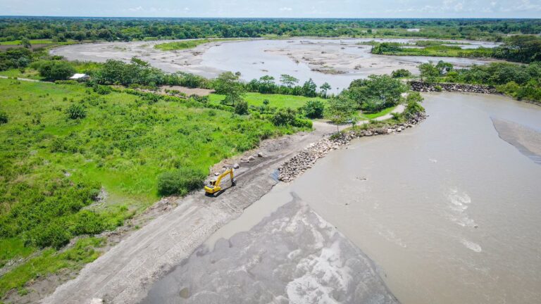 Se está devolviendo la tranquilidad a la despensa agrícola capitalina (4)