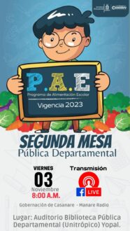 Segunda Mesa Pública Departamental PAE