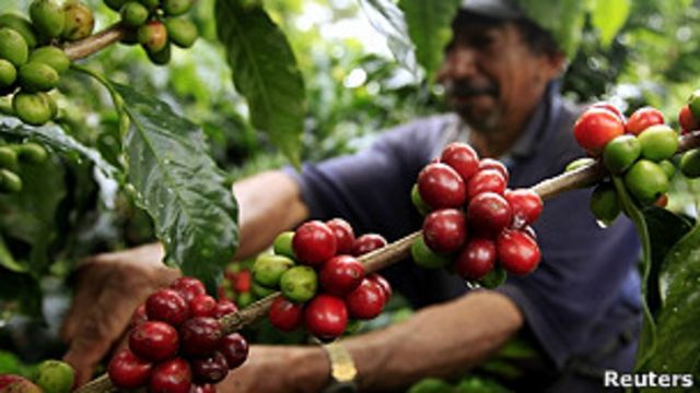 110928112241_cafe_colombia_304x171_reuters