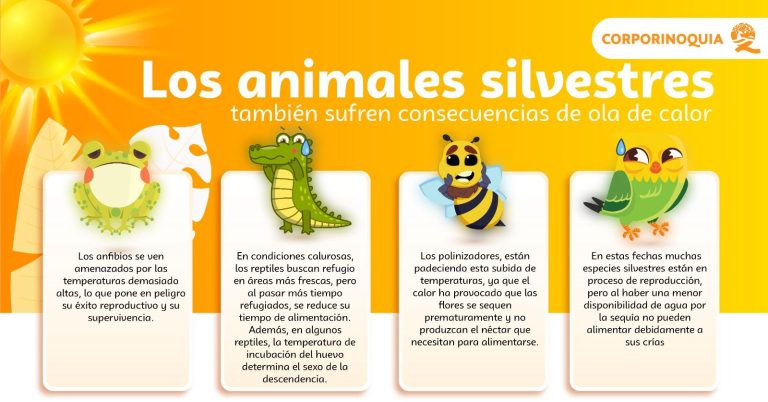 Efectos del Calor en la Fauna