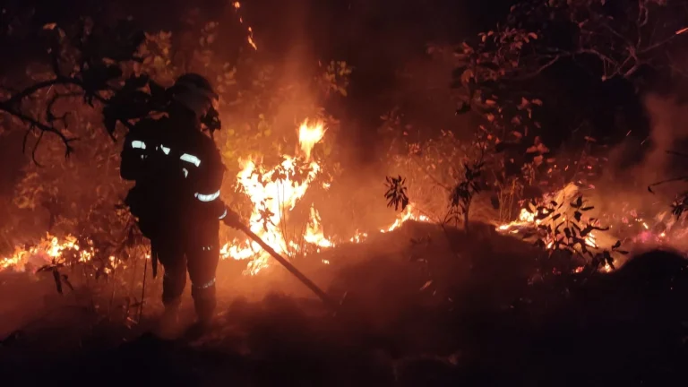 Incendio-Forestal