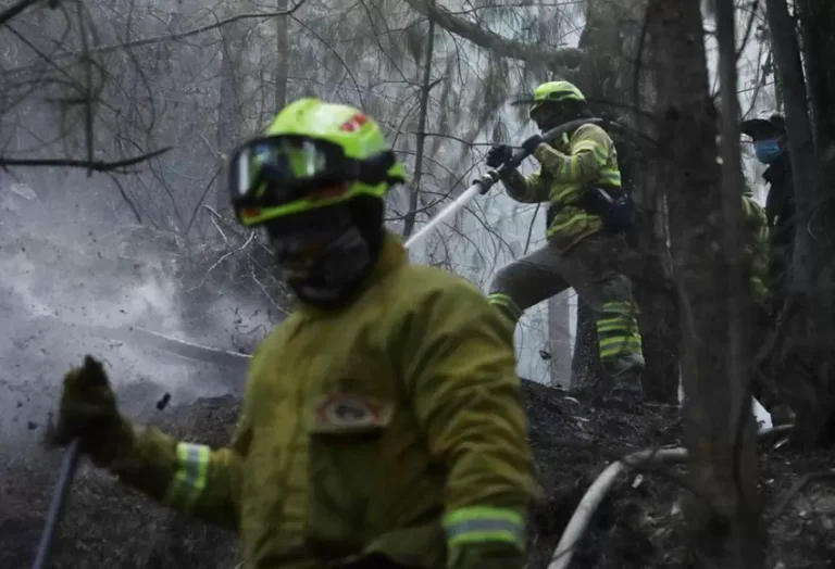 incendioenbogota_0.jpg