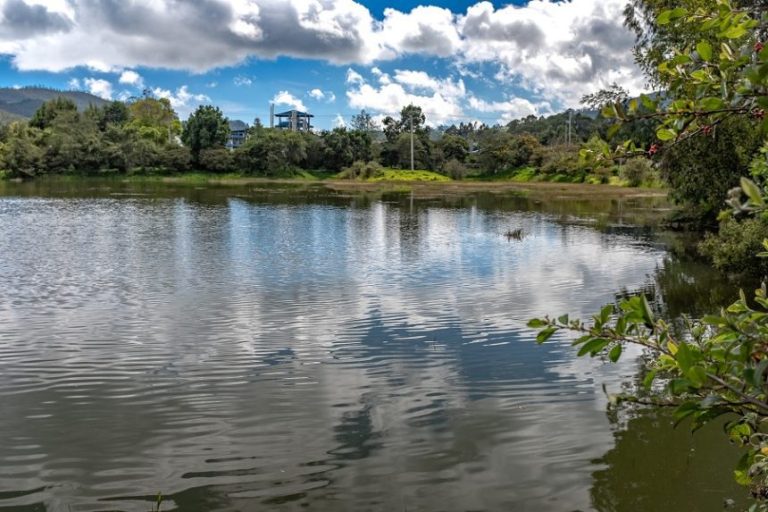 Corrillos-ecoreserva-mansilla-nuevo-espacio-de-ecopetrol-conservar-el-ambiente-860x573