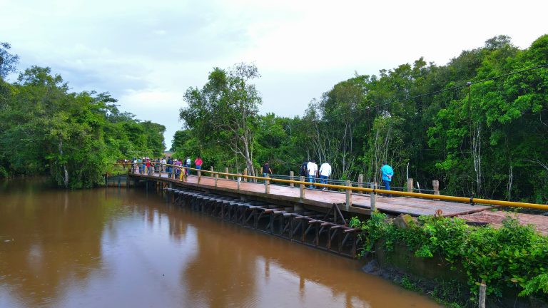 Gestión del Riesgo La Gobernación salvó de desplome y de pérdida el puente Gandul (5)