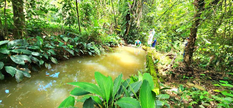 Agua potable vereda Aricaporo (1)