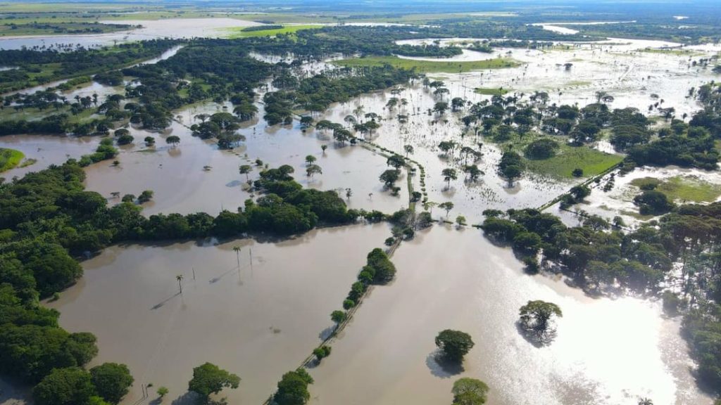 Ayudas humanitarias 1