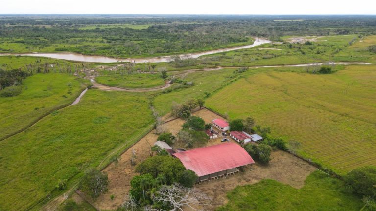 obra en el río Charte4